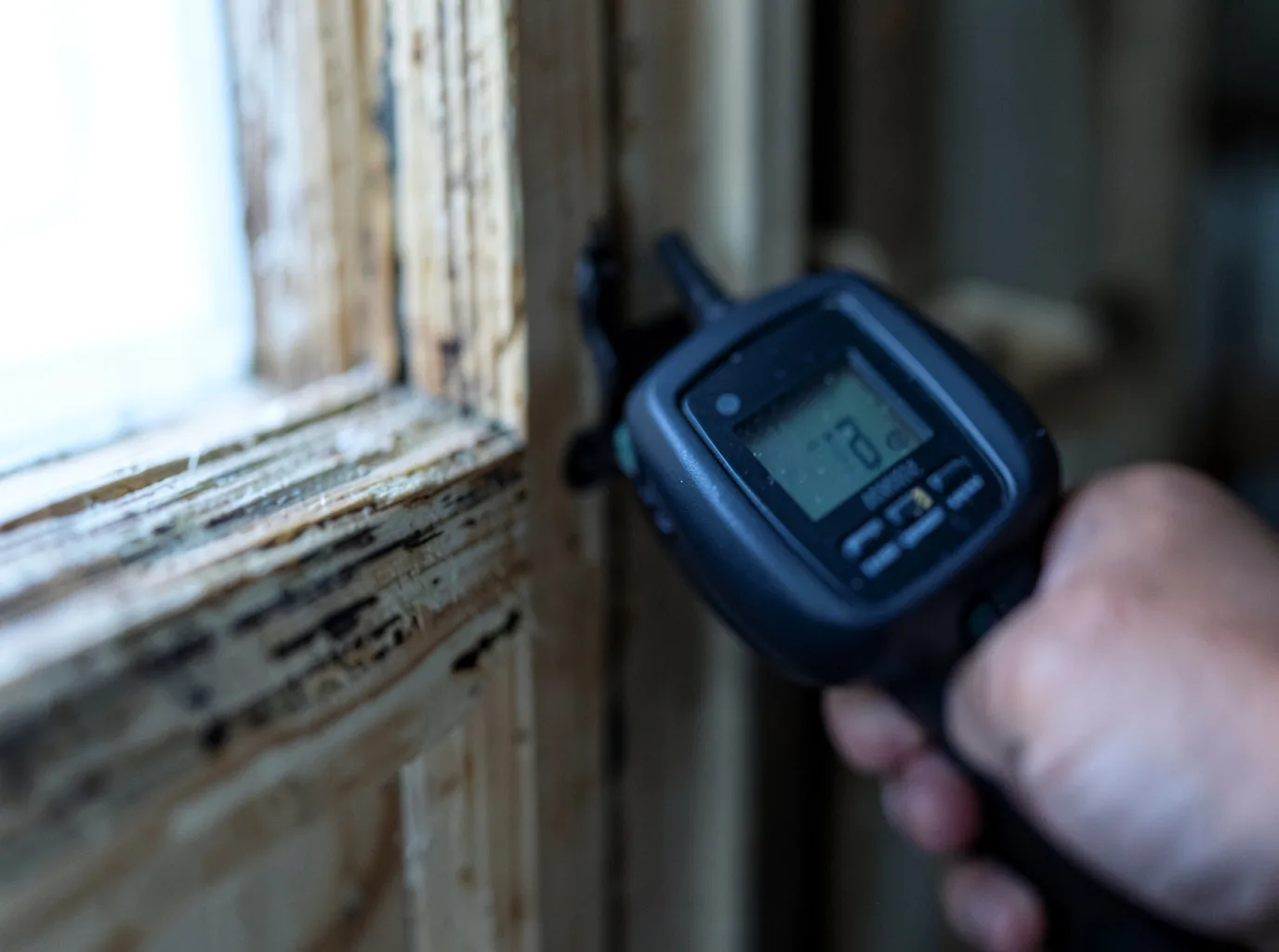 Moisture Inspection And Documentation in Alamo, TN